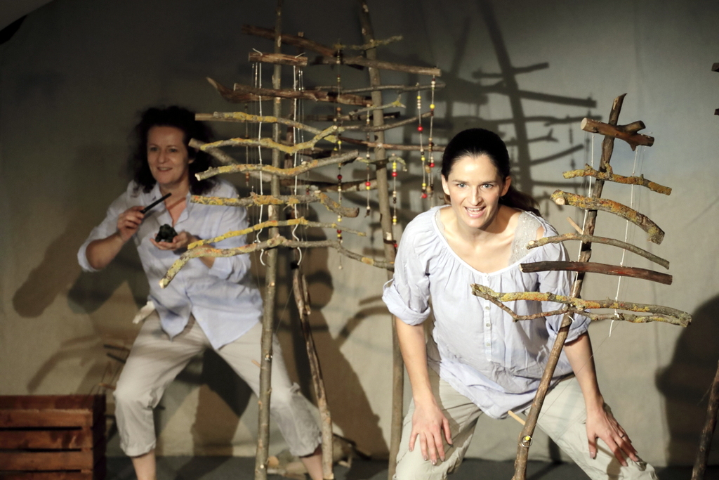 Obrázky z lesa 2018-002