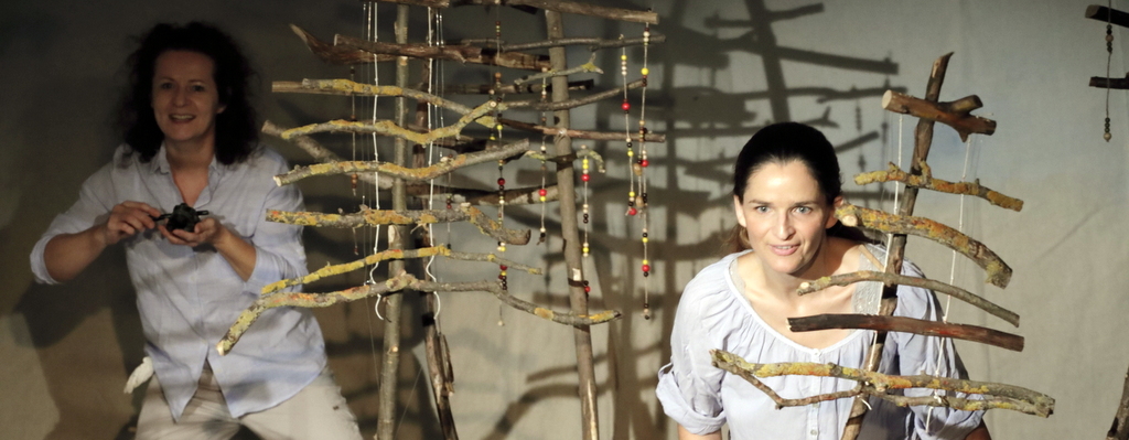 Obrázky z lesa 2018-003