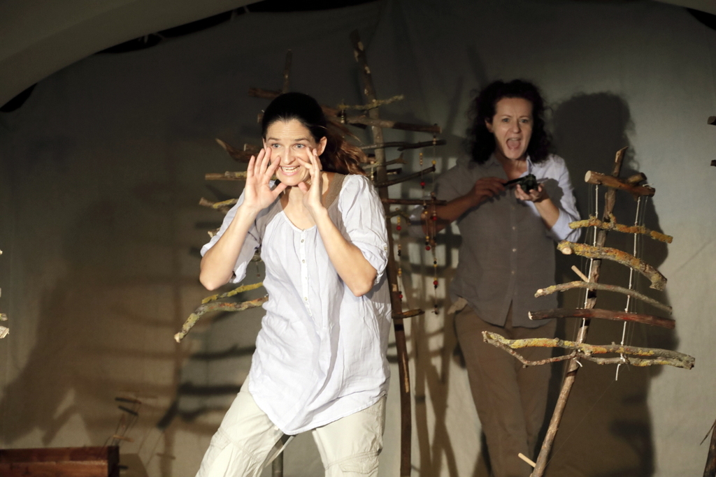 Obrázky z lesa 2018-004