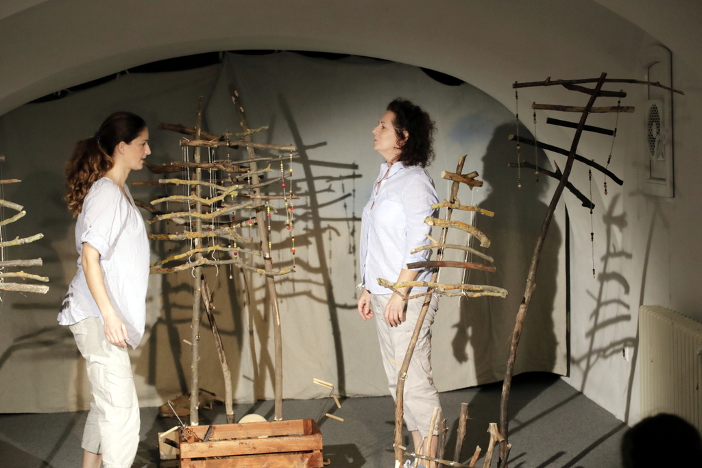 Obrázky z lesa 2018-005