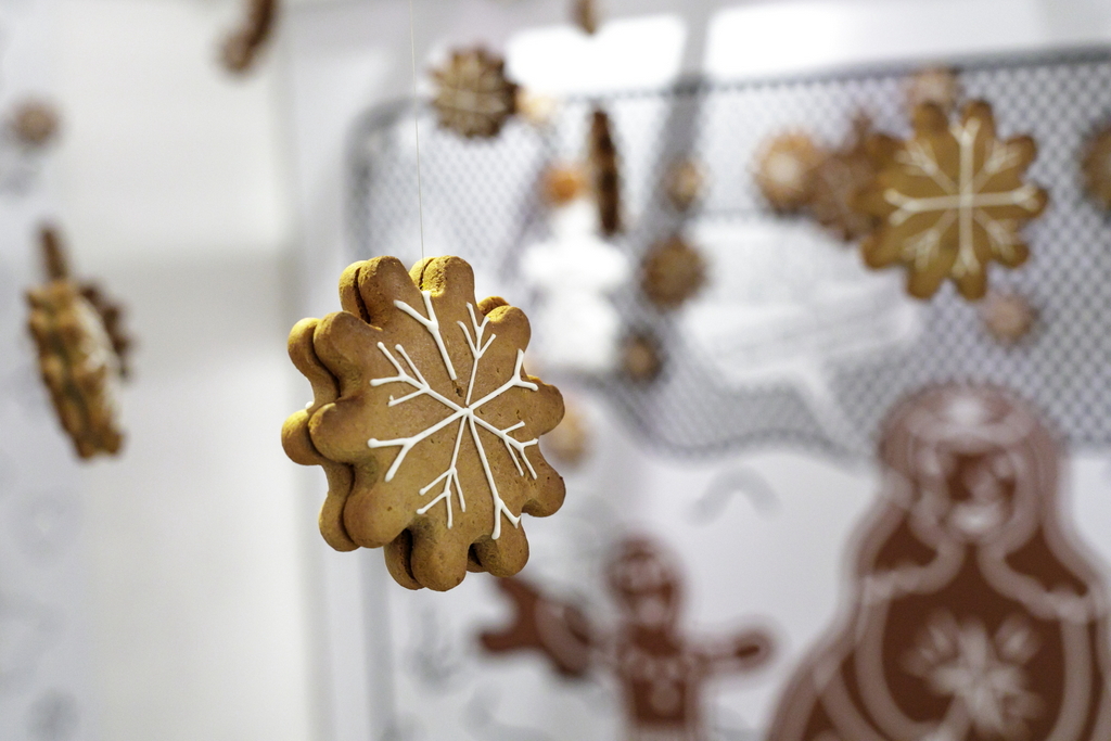 V krajine medovníkov-002