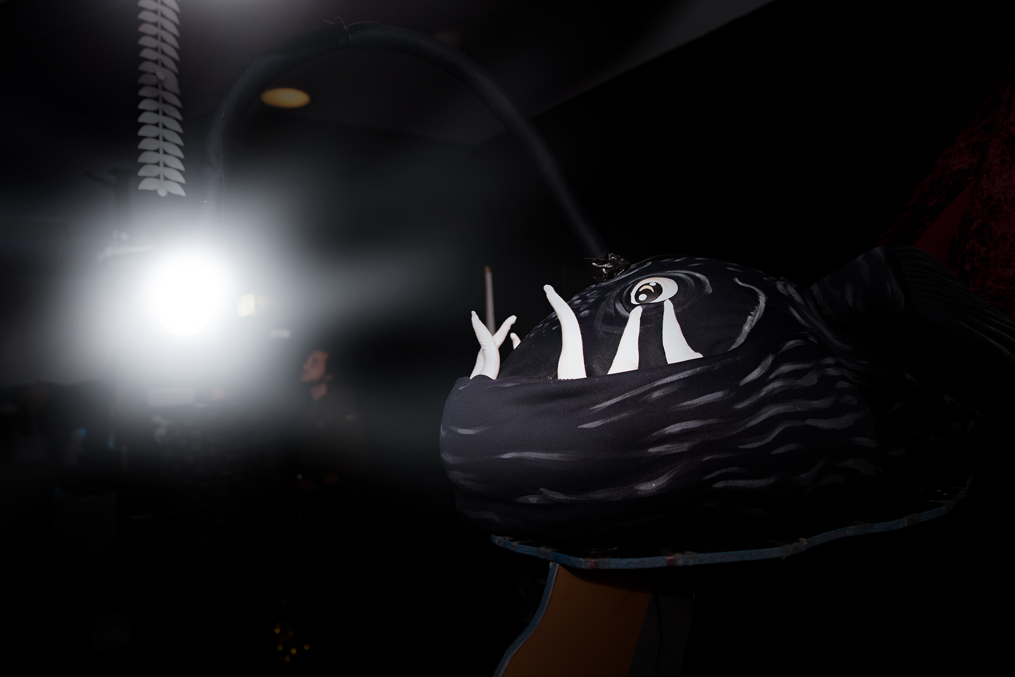 2022-02-11 Bibiana (85)b web