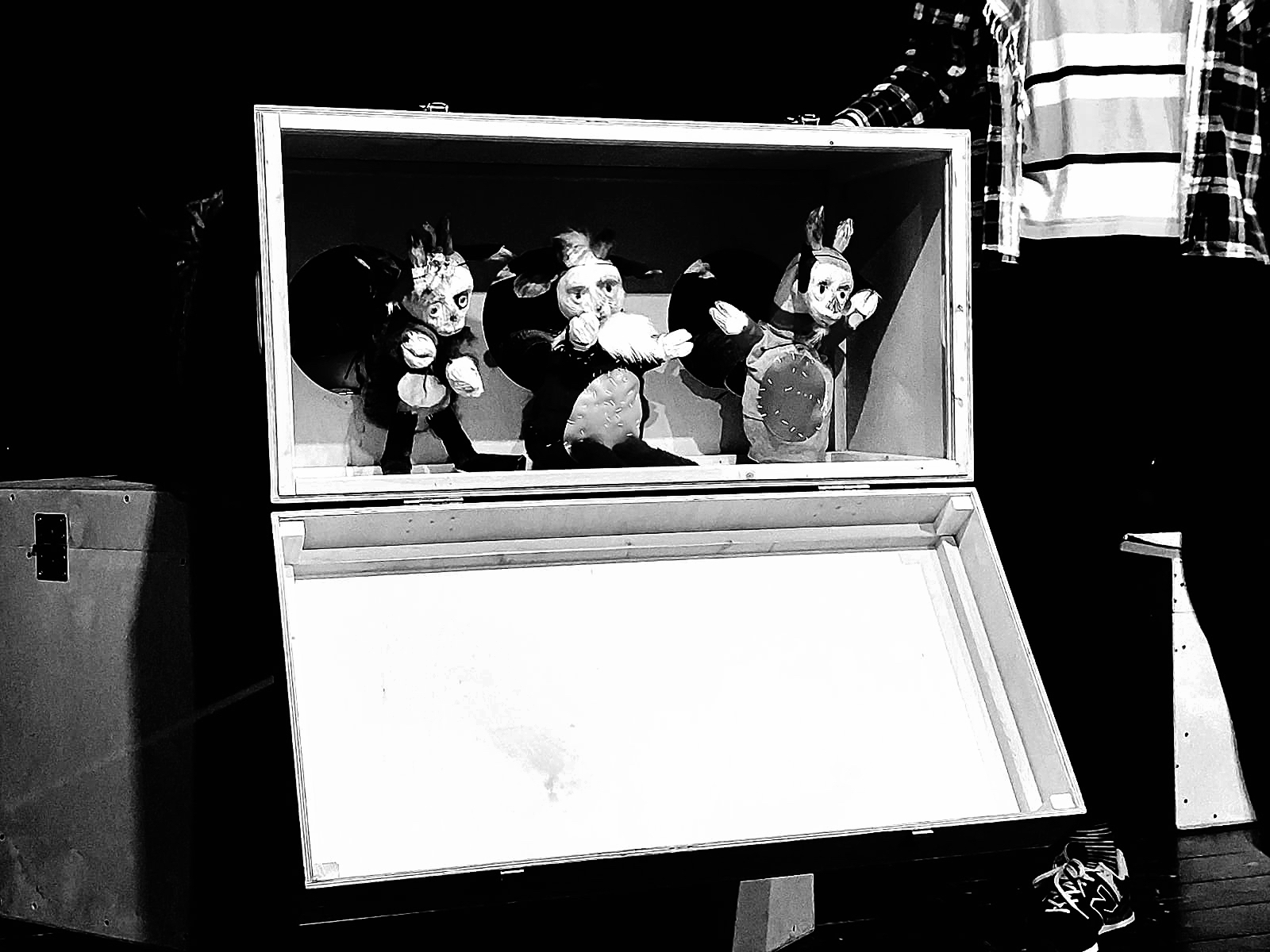 TRI MÚDRE KOZLIATKA PUTUJÚ DO AMERIKY3 .