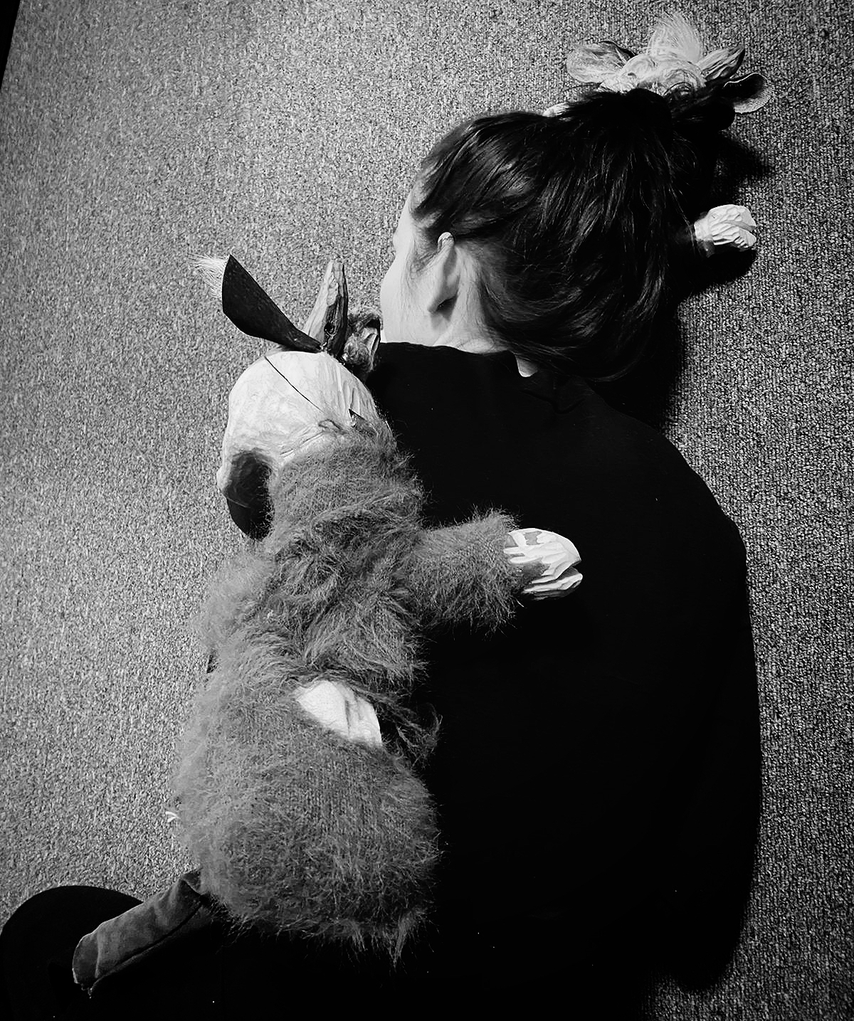 TRI MÚDRE KOZLIATKA PUTUJÚ DO AMERIKY5 .