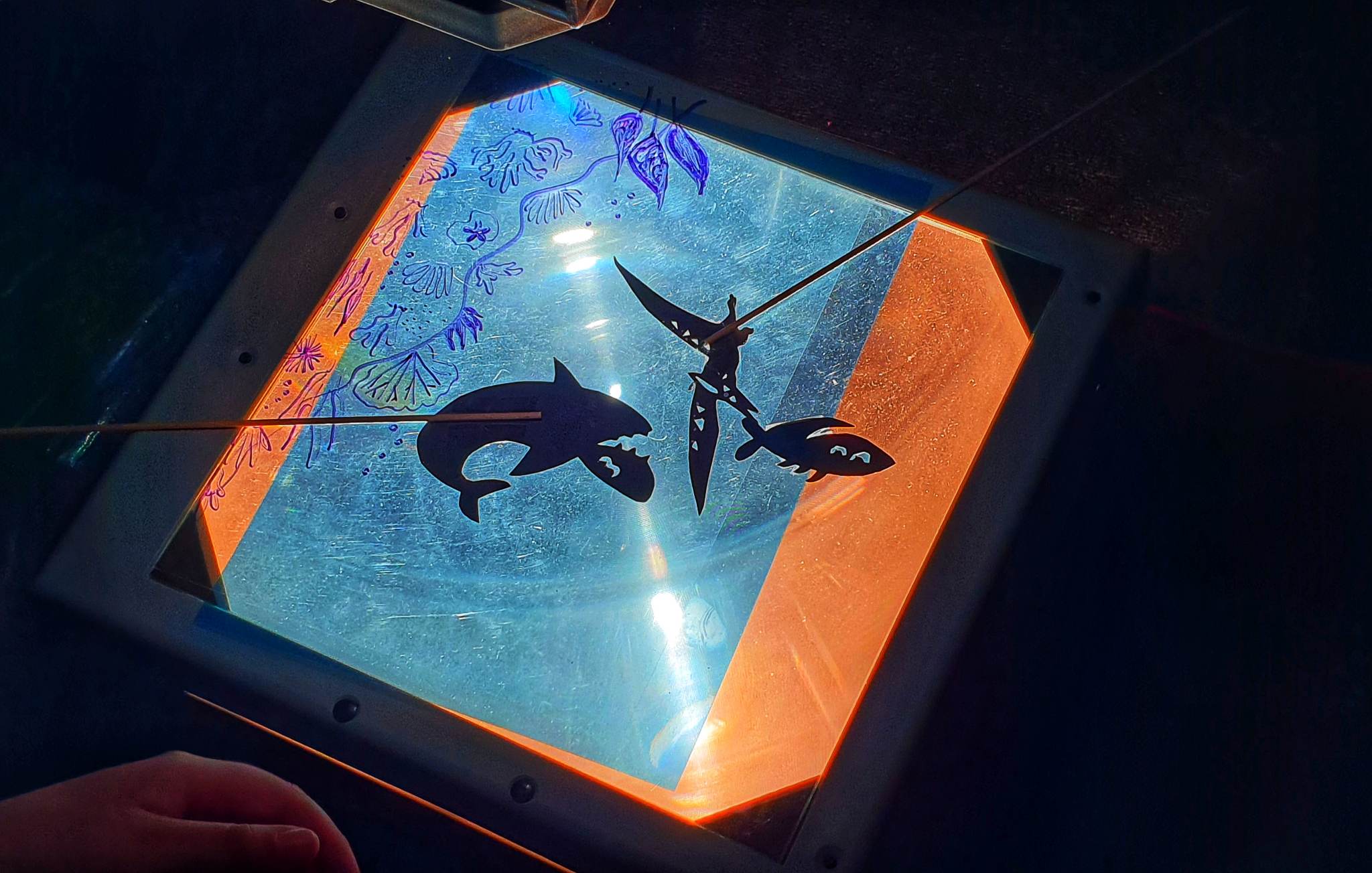 351436879_943361120220738_8655492608792735862_n