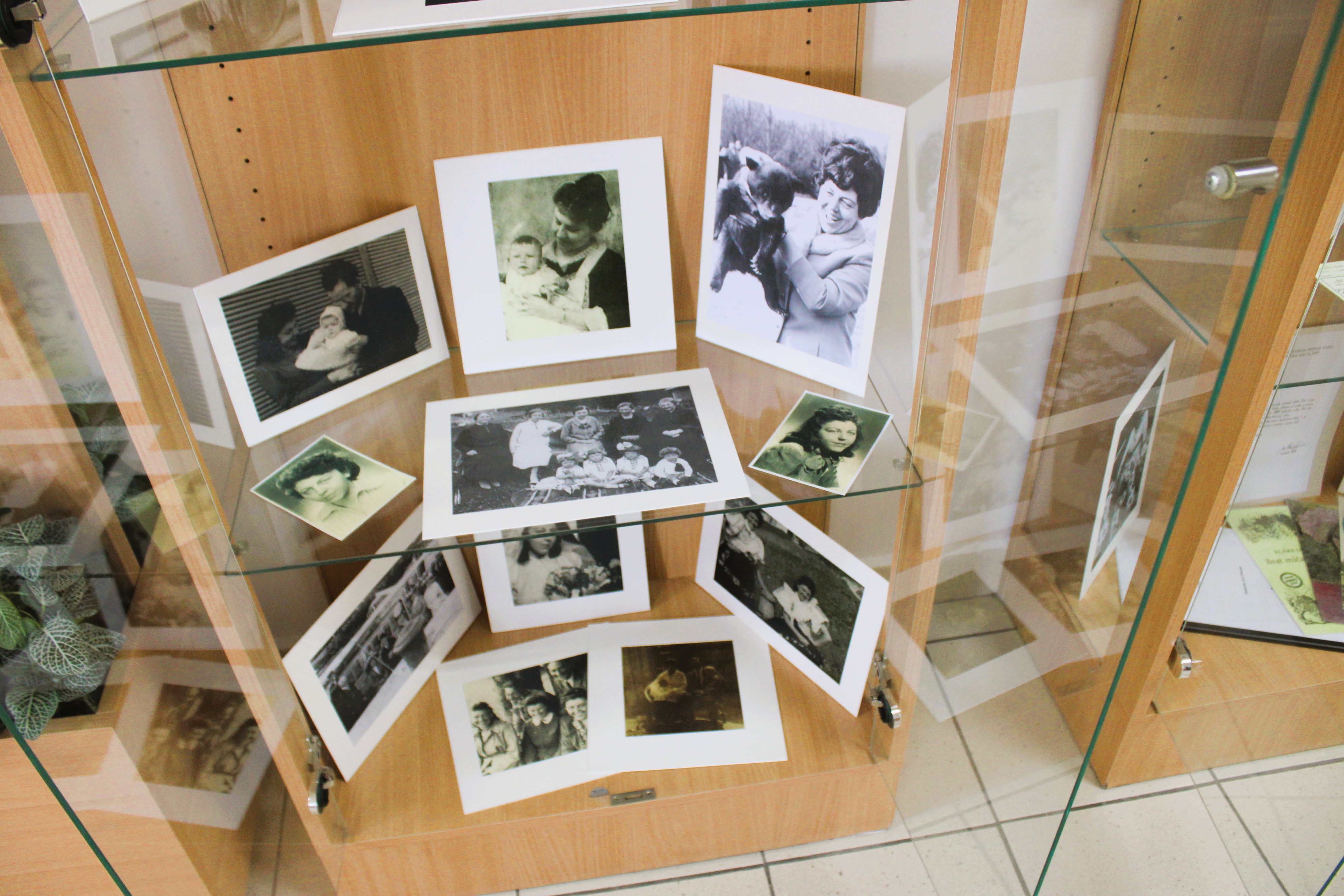 KKmeťka Nitra K.Jarunková 4