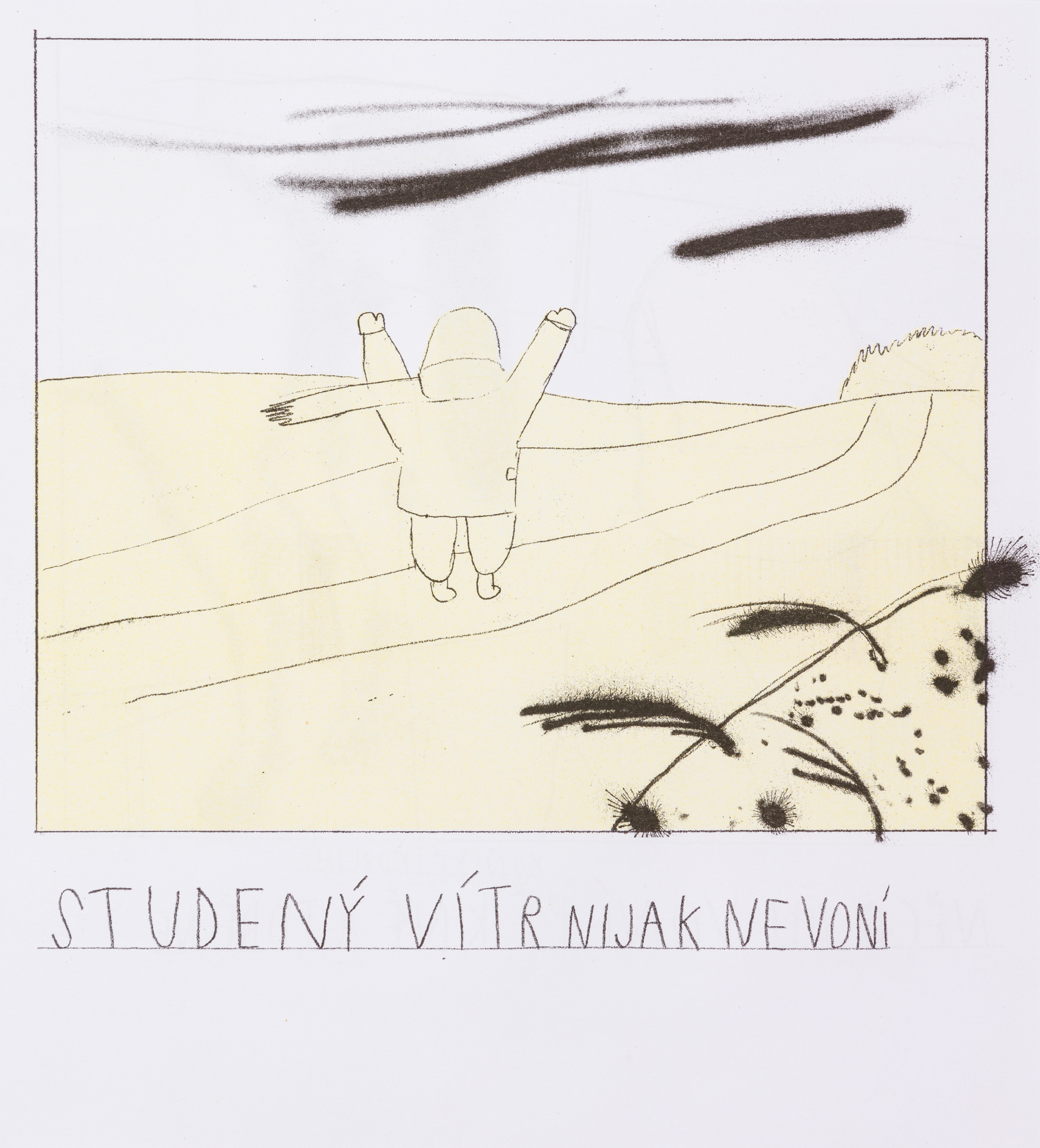 Plaketa_Lucie Lučanská2